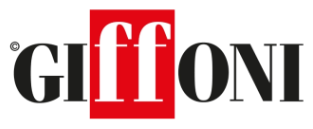 Giffoni Film Festival