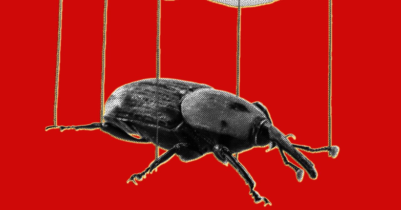 L'AI amplifica le vulnerabilità: la sicurezza informatica al centro dell'attenzione